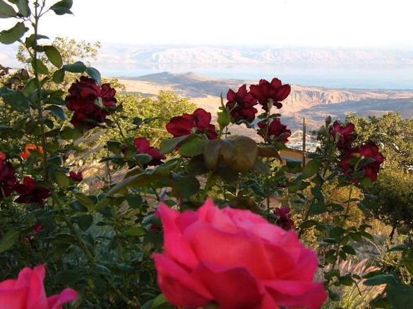 Rose Garden - Gan Vradim