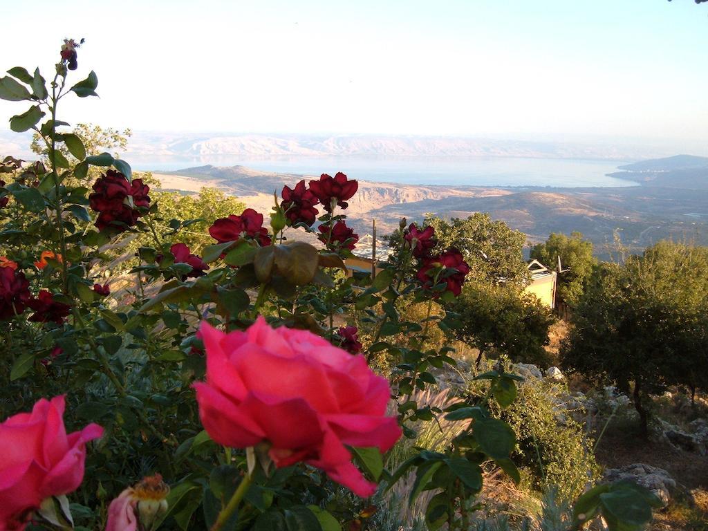 Rose Garden - Gan Vradim * Amirim