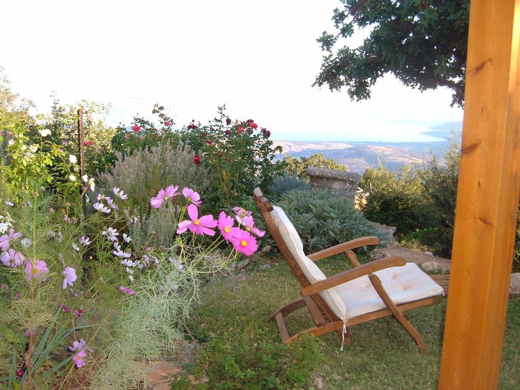 Rose Garden - Gan Vradim Chalet *